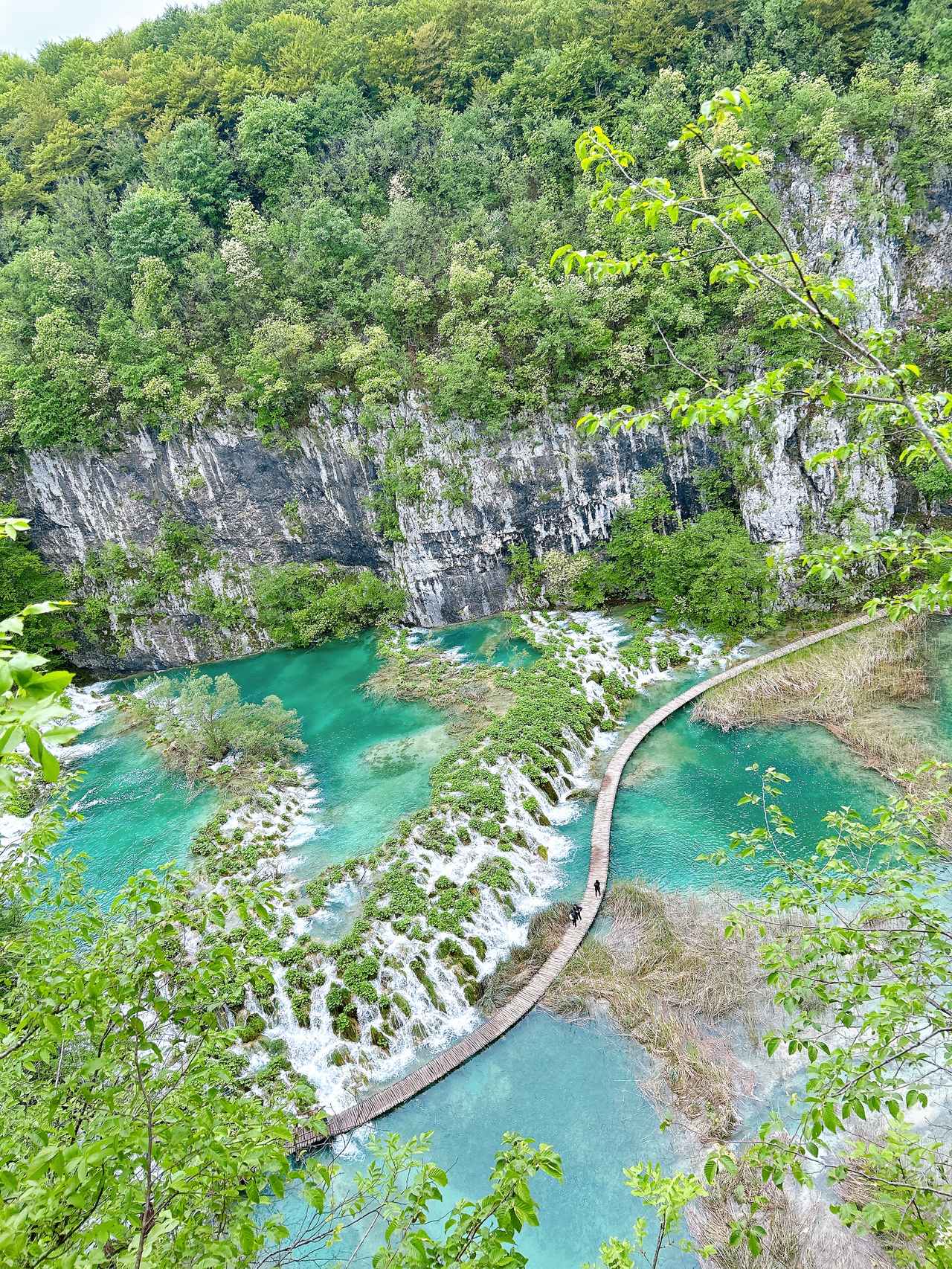 画像1: 【5日目】世界遺産 プリトヴィツェ湖群国立公園ハイキング＜ハイク初級＞ 歩行：約4〜5時間／標高差：約132m }