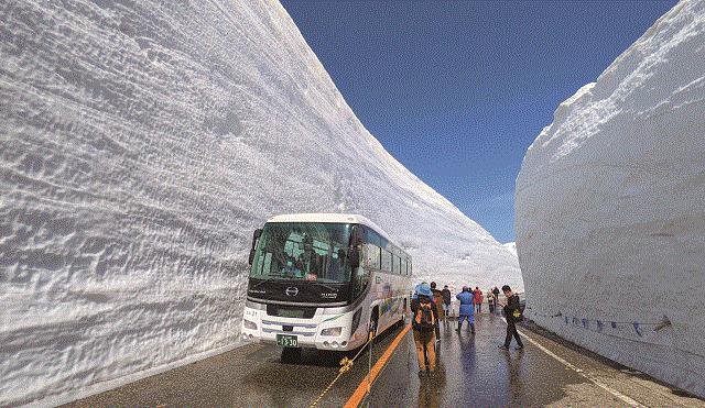 画像: <ウォーキング>『立山黒部アルペンルート 圧巻の雪の壁!「雪の大谷」ウォーク』【東京出発】|クラブツーリズム