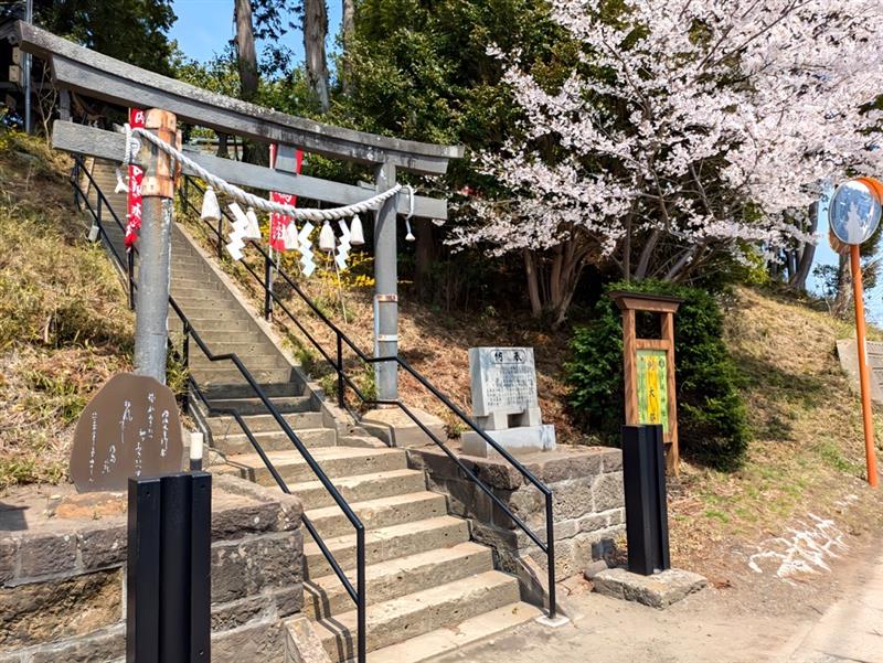 画像2: 【ハイク初級】2025年11月開通した新コースも歩く!
自然に癒され、歴史ロマンを感じる”宮城オルレ”の魅力をご紹介