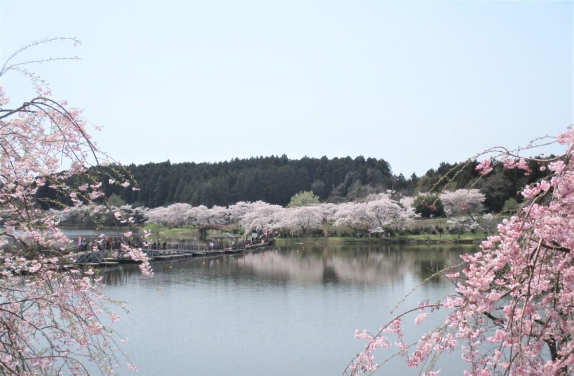 画像: <ハイク初級>『自然の息吹と歴史が交わる宮城オルレ 登米と多賀城コース 2日間』|クラブツーリズム