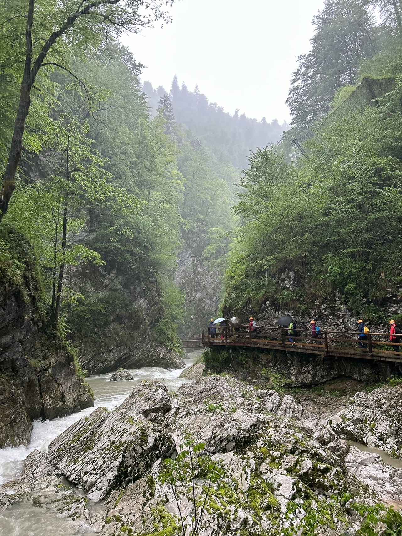 画像1: 【3日目】ヴィントガル渓谷ハイキング＜ハイク入門＞ 歩行：約2時間／ほぼ平坦