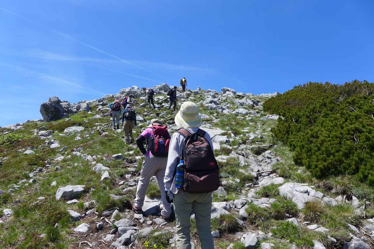 画像3: 【6日目】北ヴィレビト国立公園ハイキング＜ハイク初級＞ 歩行：約2時間30分／標高差：150m