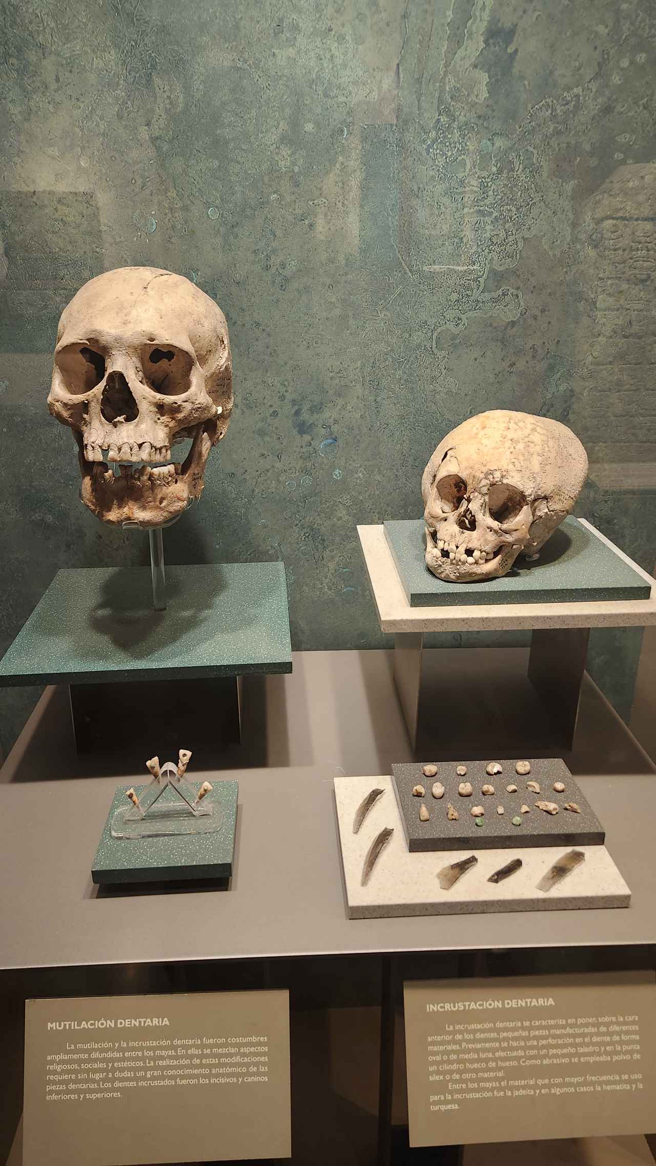 画像 : 4番目の画像 - 国立博物館で見た資料 - クラブログ ～スタッフブログ～｜クラブツーリズム