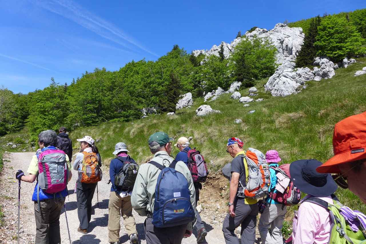 画像1: 【6日目】北ヴィレビト国立公園ハイキング＜ハイク初級＞ 歩行：約2時間30分／標高差：150m