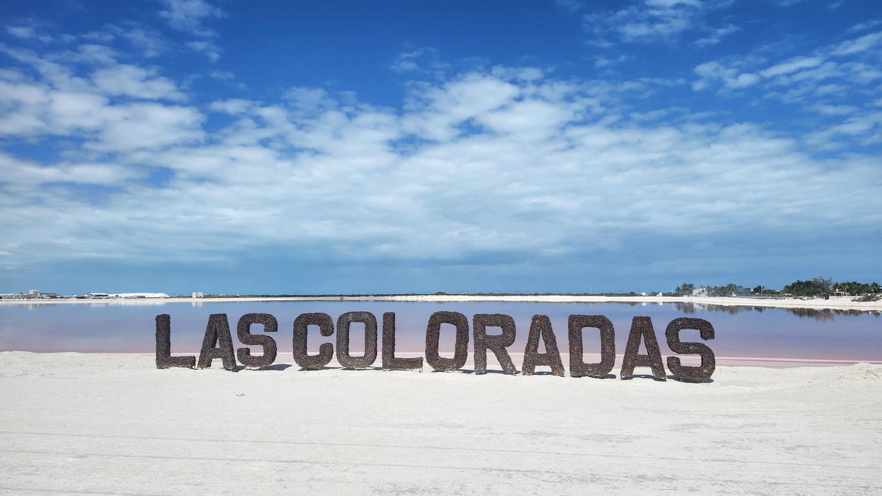 画像1: 【8日目】ピンクの絶景、ラス・コロラダスへ