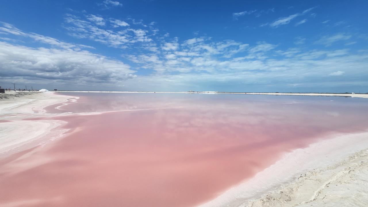 画像2: 【8日目】ピンクの絶景、ラス・コロラダスへ