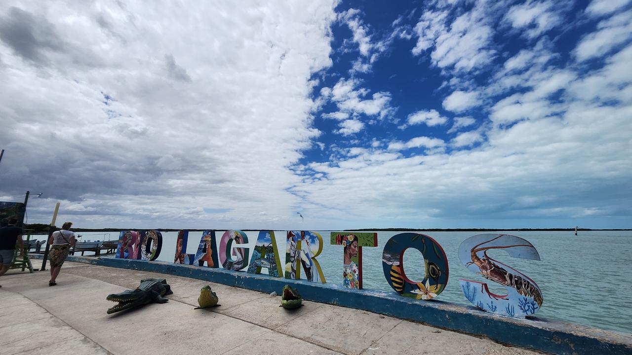 画像3: 【8日目】ピンクの絶景、ラス・コロラダスへ