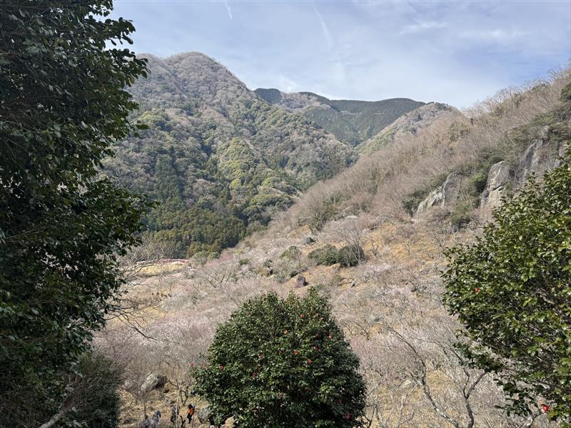 画像: 次回は 第6回・幕山～南郷山　テーマは「長い距離を歩こう」
