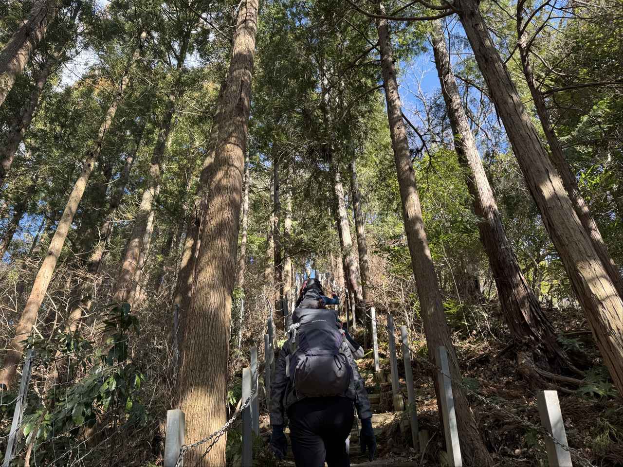画像5: 登山道で実践！歩きながら学びます