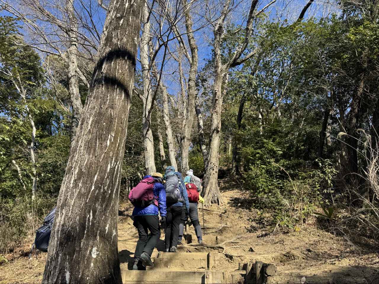 画像2: 登山道で実践！歩きながら学びます