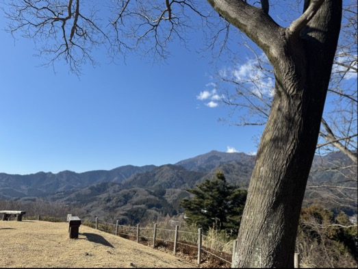 画像3: 登山道で実践！歩きながら学びます