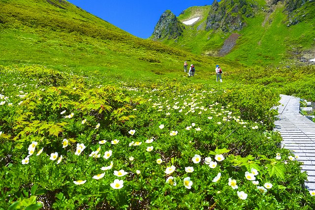 画像: 秋田駒ヶ岳・ムーミン谷