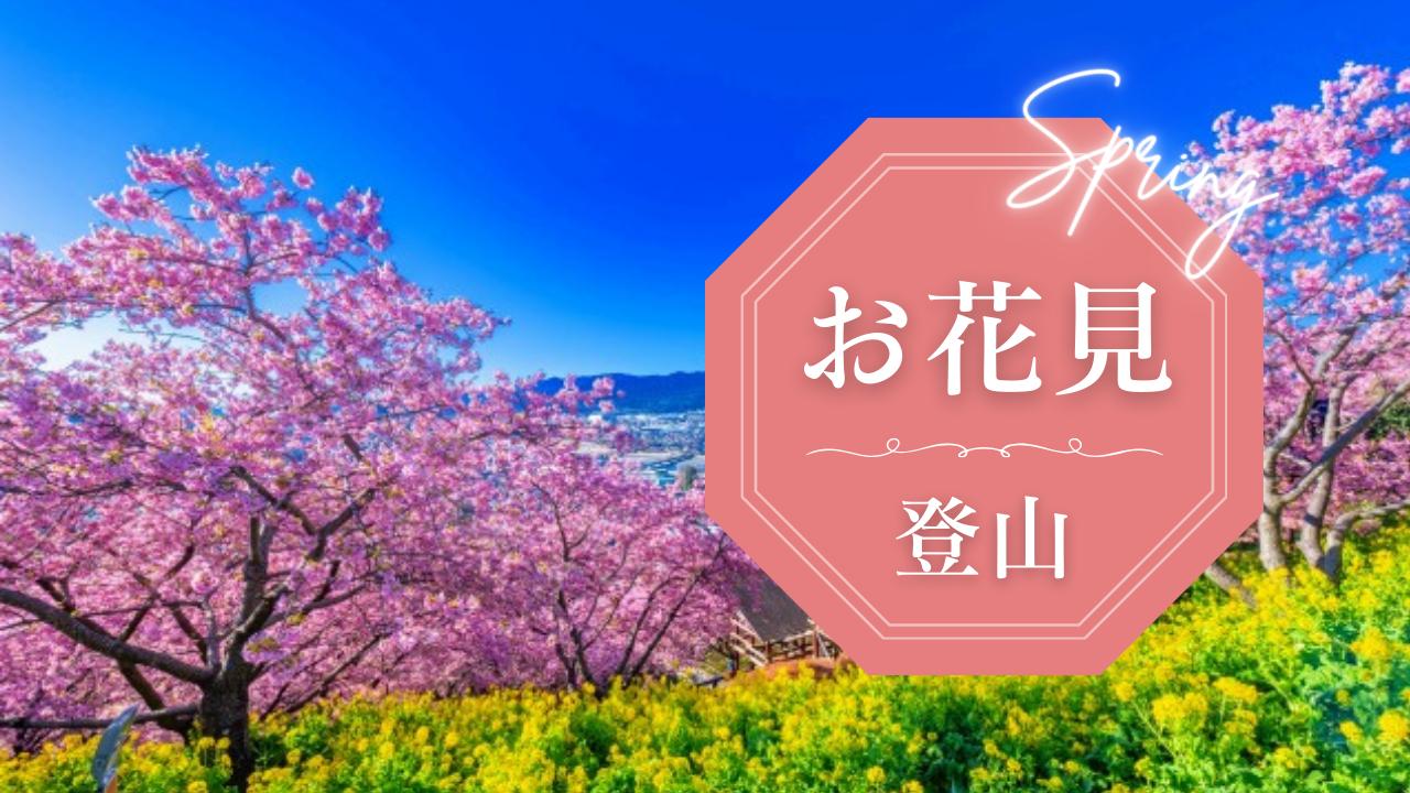 画像: 私でも歩けるかも？“春のゆる山旅” 迷ったらコレ！担当者おすすめ！お花見登山5選 - クラブログ ～スタッフブログ～｜クラブツーリズム