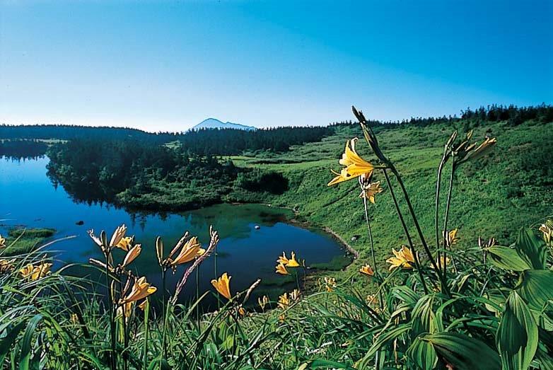 画像: ＜ゆっくりペースで歩く登山/登山初級B(縦走)＞『新玉川温泉に連泊！花の名峰をあるく　八幡平・秋田駒ヶ岳・ムーミン谷・森吉山　3日間』 【東京・上野・大宮出発】｜クラブツーリズム