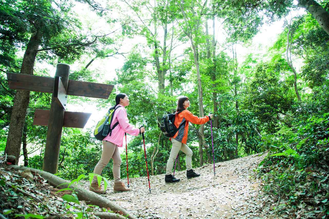 画像1: 春(3～6月)におすすめの山17選｜春の花咲く登山・ハイキング