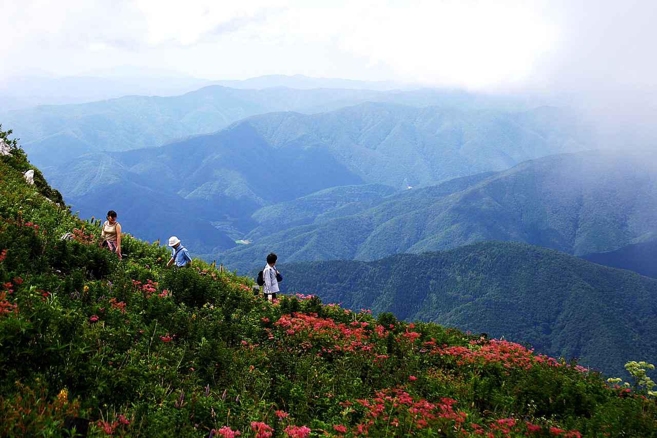 画像: 夏(6～8月)におすすめの山25選｜夏は登山・ハイキングで高山植物や絶景を楽しもう - クラブログ ～スタッフブログ～｜クラブツーリズム