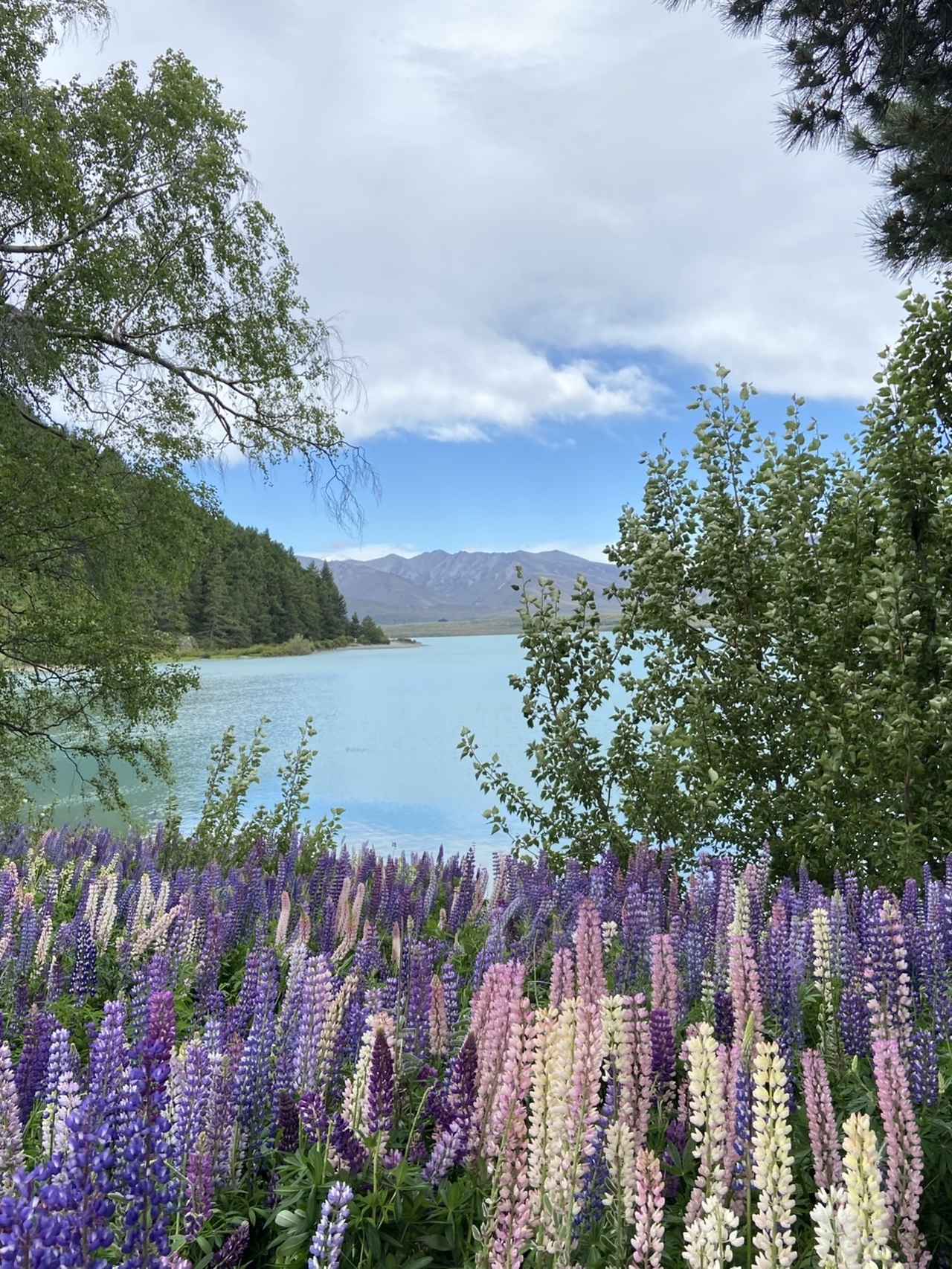 画像: 昨年12月に撮影