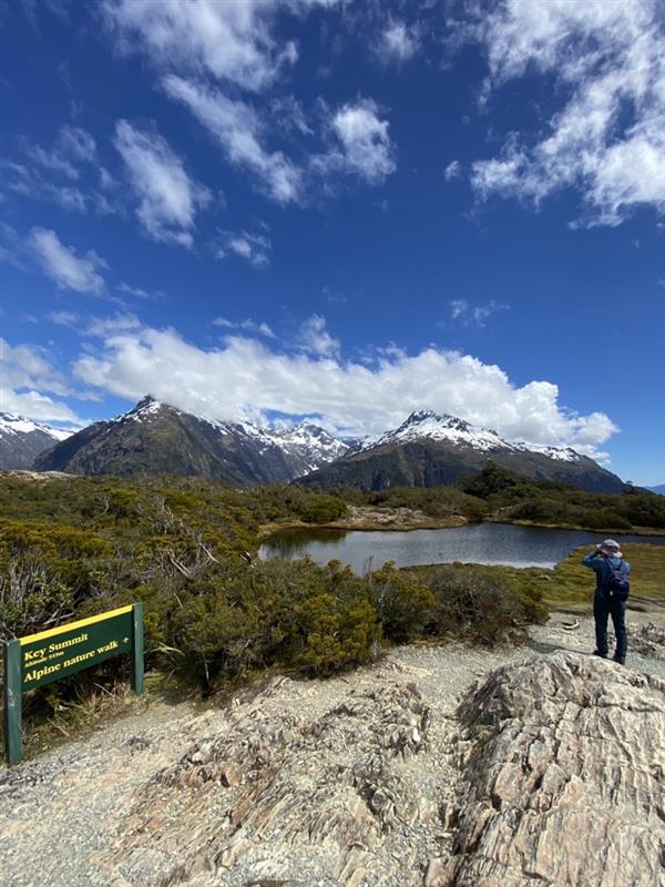 画像7: <登山初級A>『花のニュージーランド 南島大満喫ハイキング8日間』のツアー 現地レポート【世界をあるく】