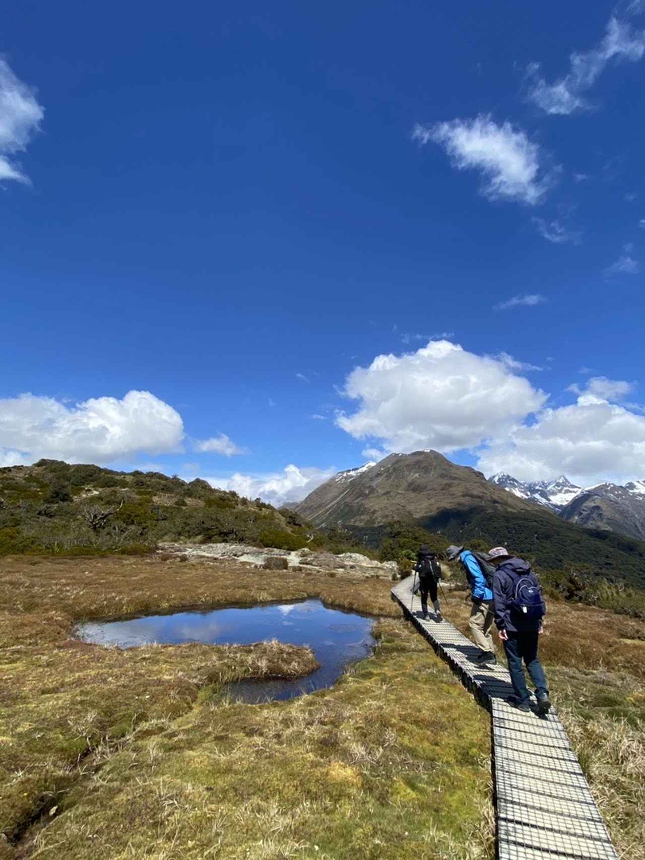 画像8: <登山初級A>『花のニュージーランド 南島大満喫ハイキング8日間』のツアー 現地レポート【世界をあるく】