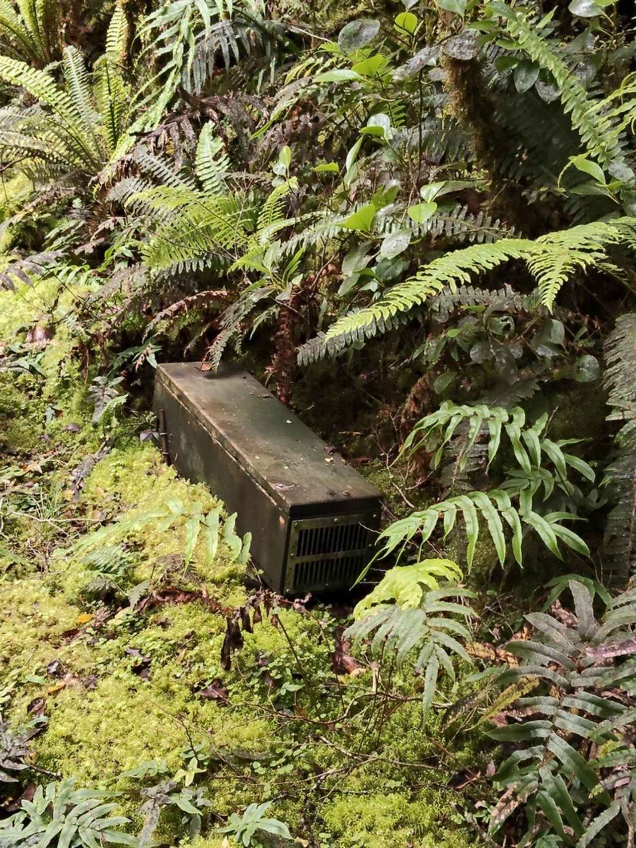 画像4: <登山初級A>『花のニュージーランド 南島大満喫ハイキング8日間』のツアー 現地レポート【世界をあるく】