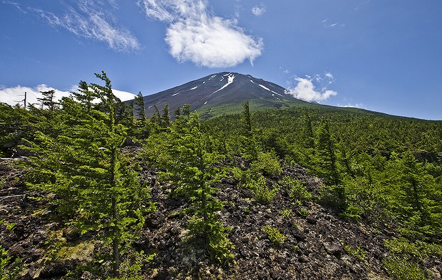 画像: ＜ハイク初級＞『富士山・雲上のパノラマルート　御中道ハイキング』【選べる出発地】｜クラブツーリズム