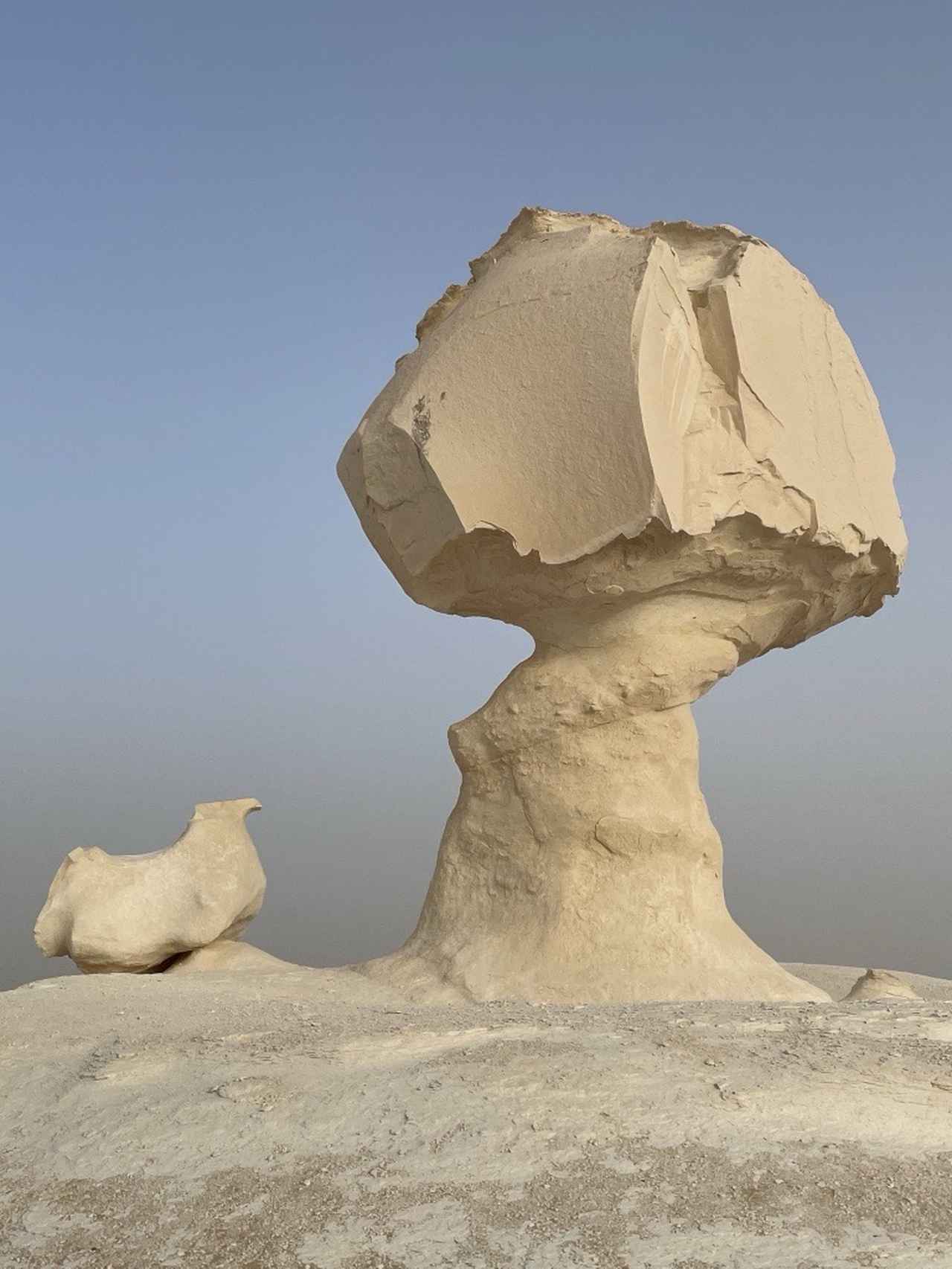 画像: 【3日目】白砂漠国立公園ウォーキングと夕日鑑賞 歩行：約1時間／標高差：ほぼ平坦