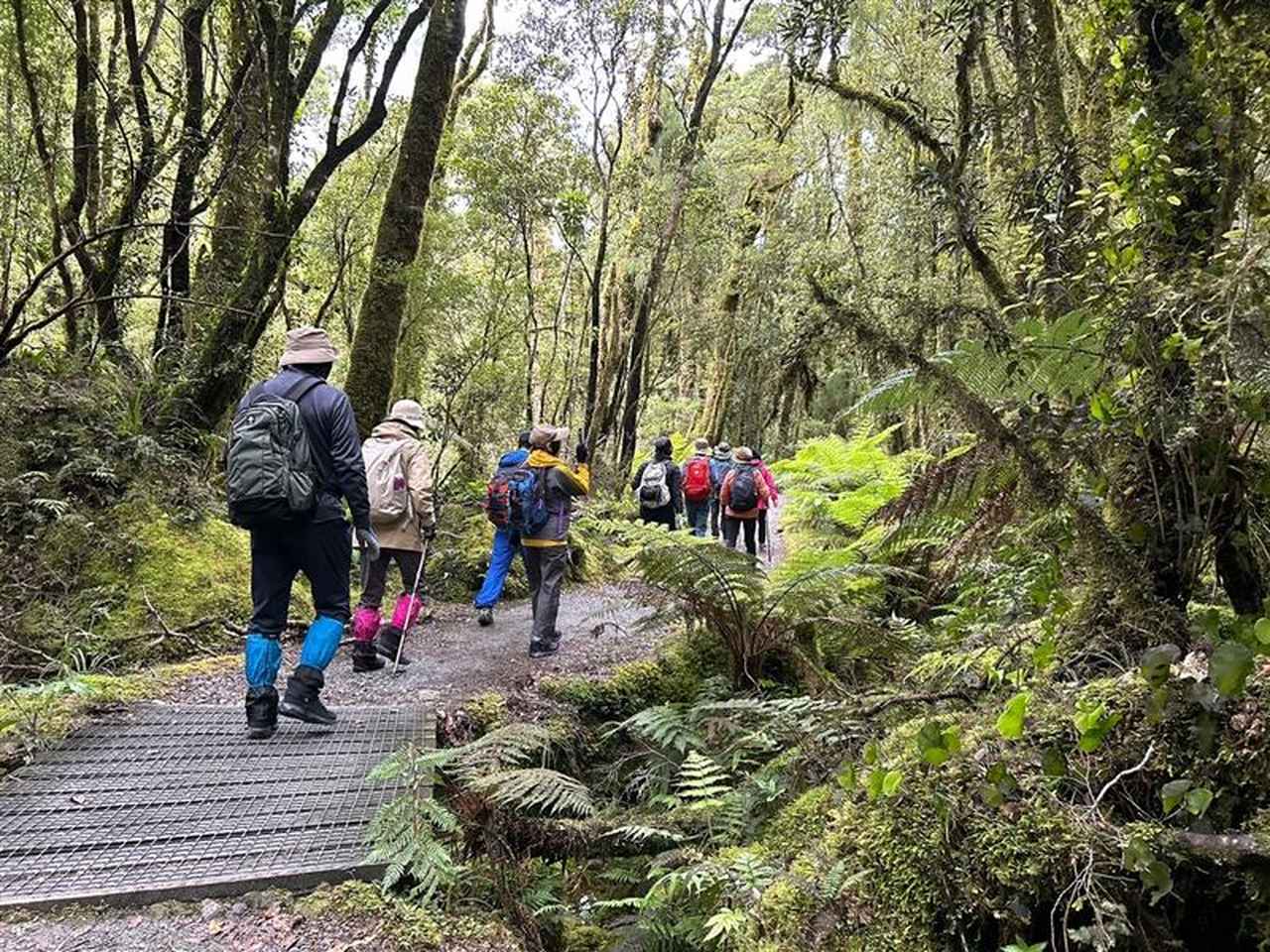 画像1: 【5日目】世界遺産:ミルフォードトラック1日ハイキング 歩行:約3時間30分/ほぼ平坦 <ハイク初級>