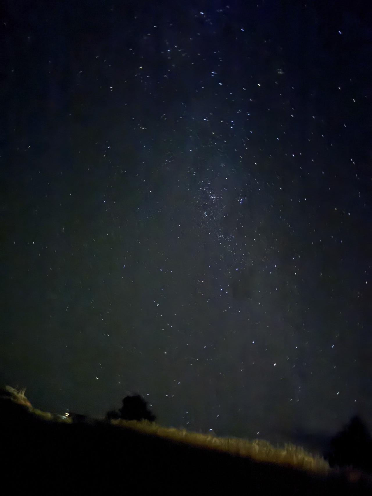 画像3: 【2日目】クライストチャーチ→テカポ湖→マウントクック国立公園へ