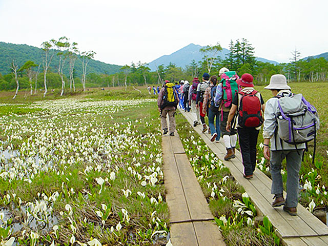 画像: あるく ウォーキング・ハイキング・登山の旅・ツアー【関東発】│クラブツーリズム