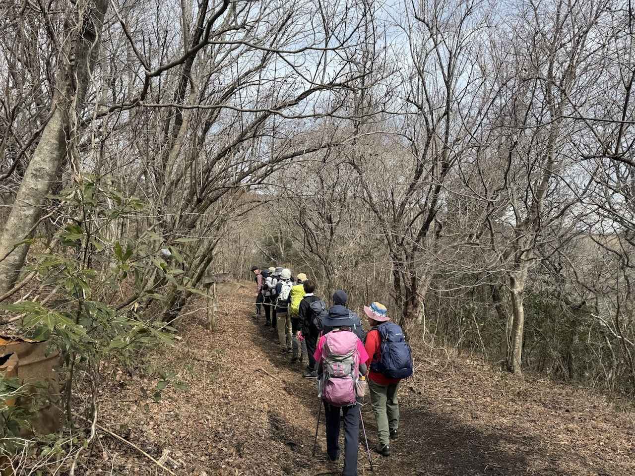 画像6: 登山道で実践！歩きながら学びます
