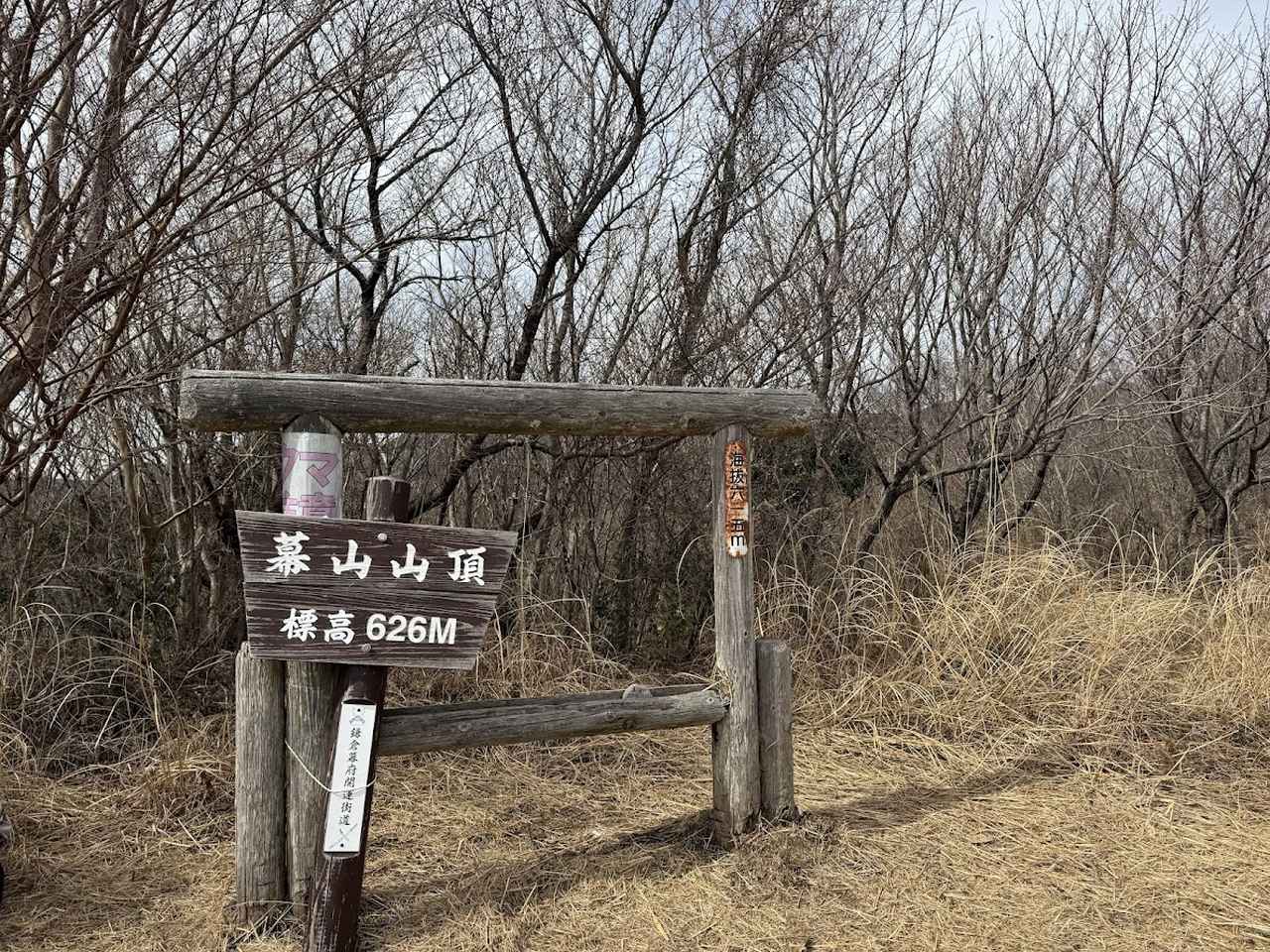 画像5: 登山道で実践！歩きながら学びます