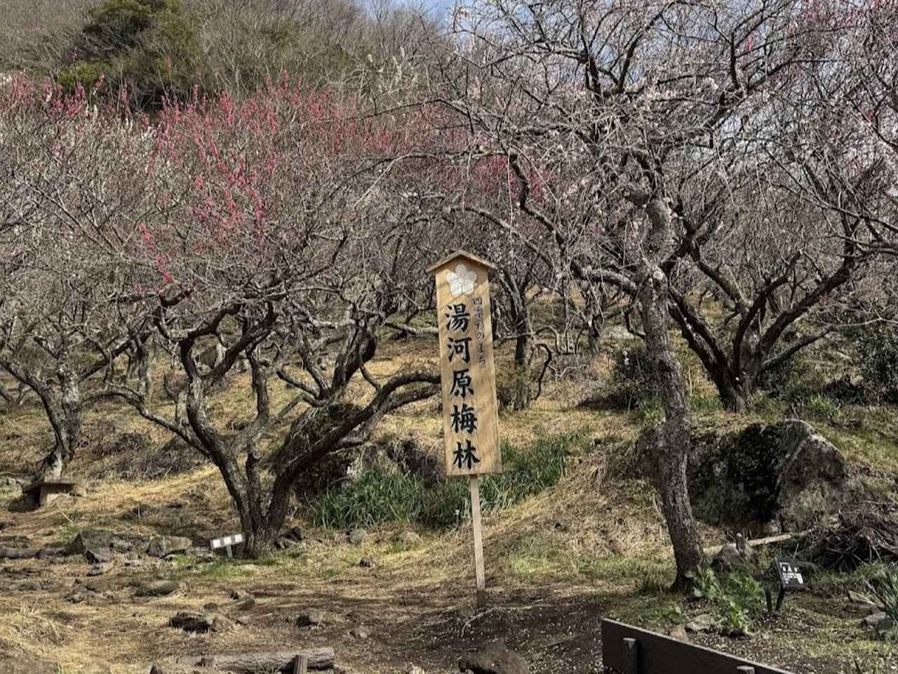 画像1: 登山道で実践！歩きながら学びます