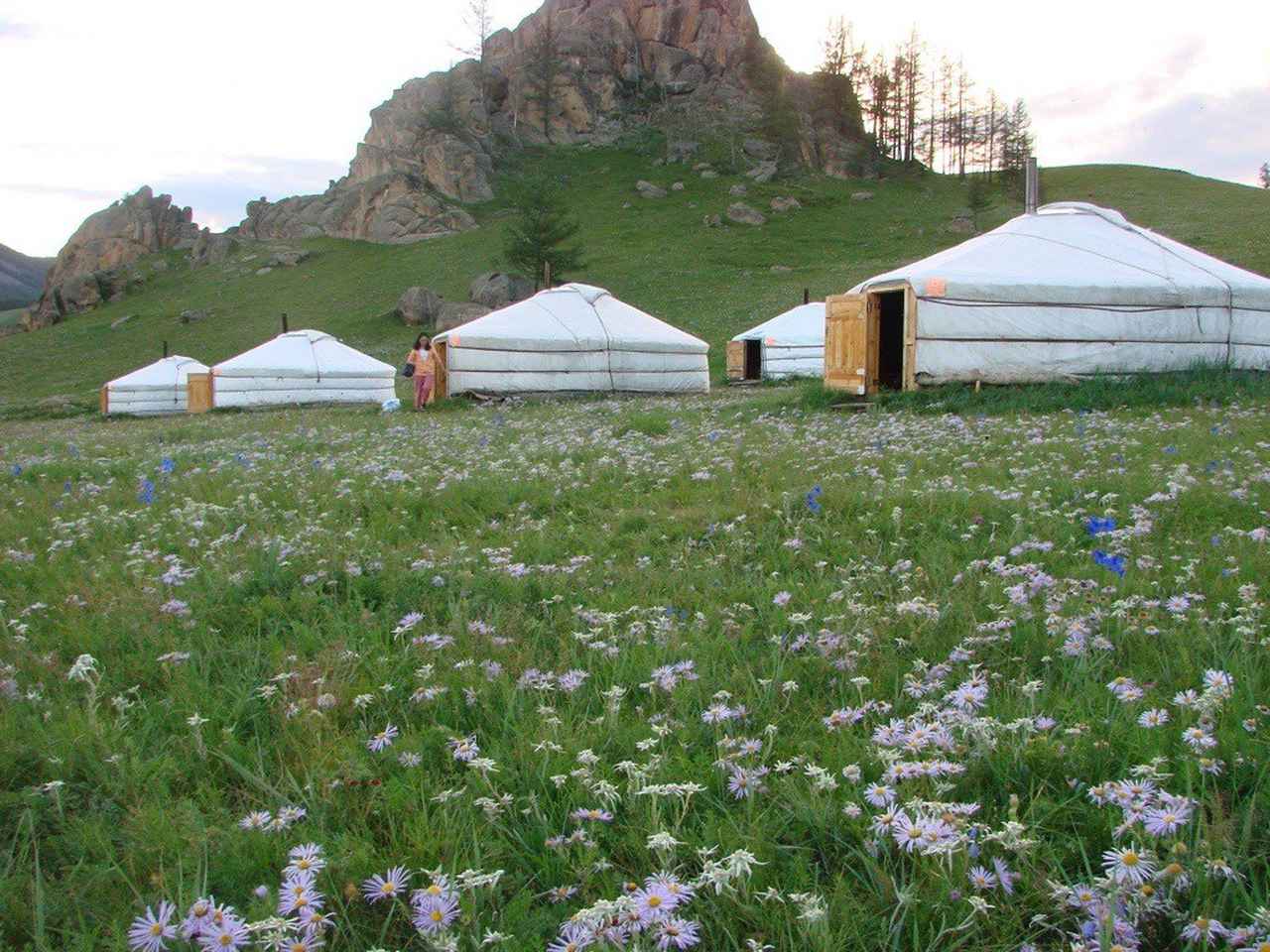 画像1: ＜ハイク初級＞『壮大なスケールの大自然に癒されるゆったりモンゴル８日間』天然の植物園「奥テレルジ」とオリジナル（ミニ）ナーダムへご案内！新月出発で満天の星空堪能｜クラブツーリズム