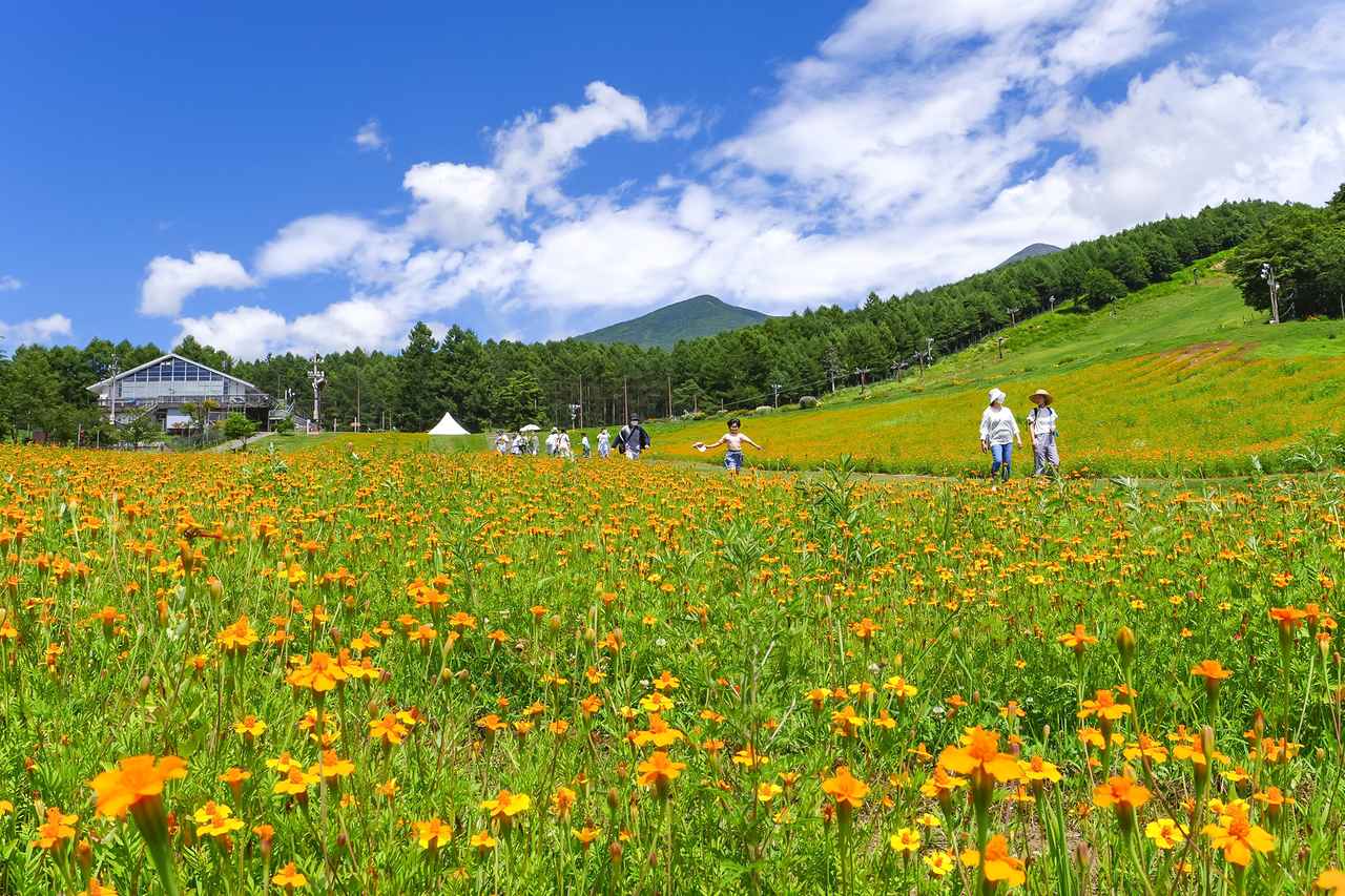 画像2: 花の里・ロマンスエリア（イメージ）