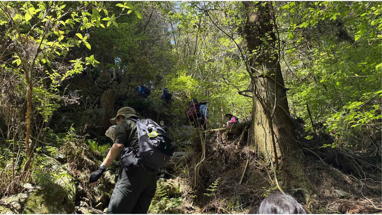画像5: 登山道で実践！歩きながら学びます