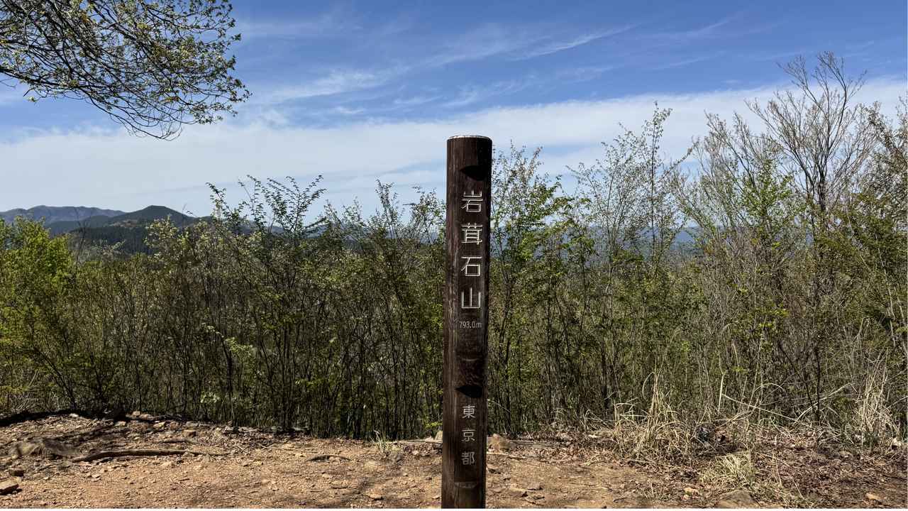 画像10: 登山道で実践！歩きながら学びます
