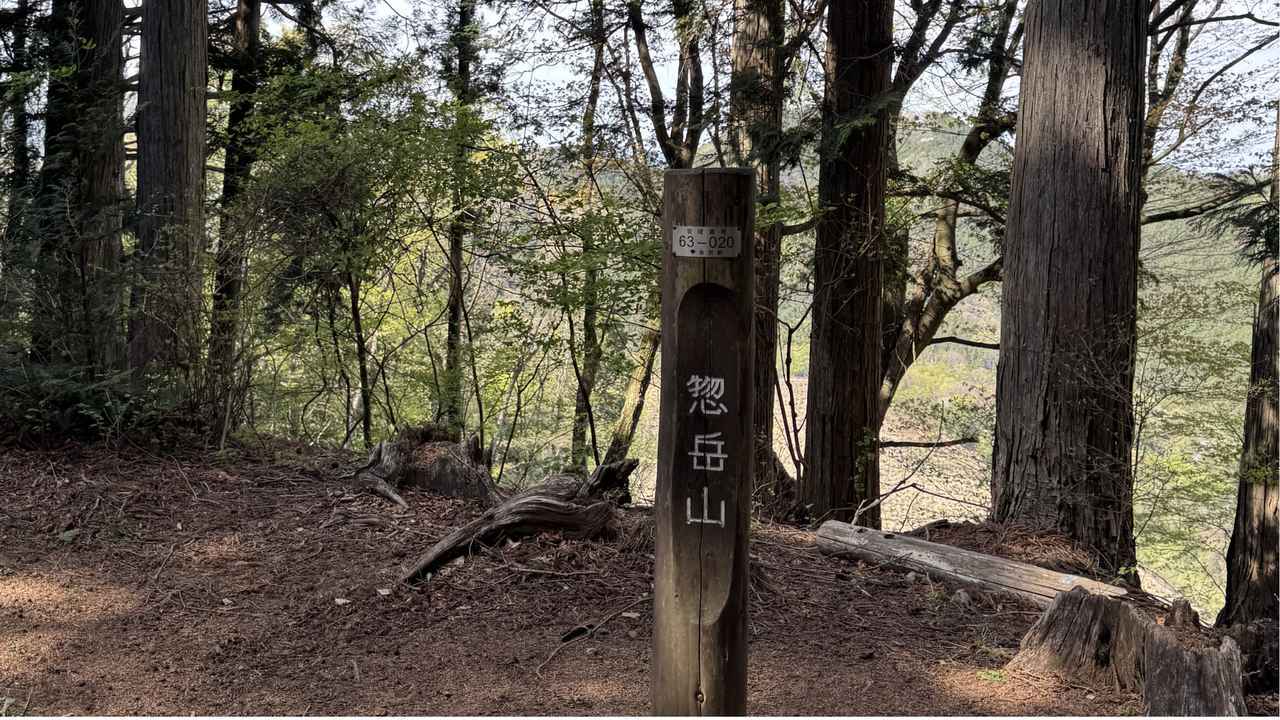 画像15: 登山道で実践！歩きながら学びます