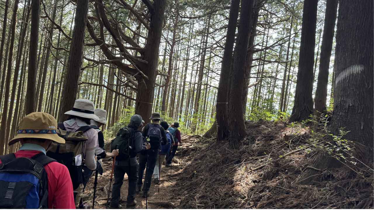 画像16: 登山道で実践！歩きながら学びます