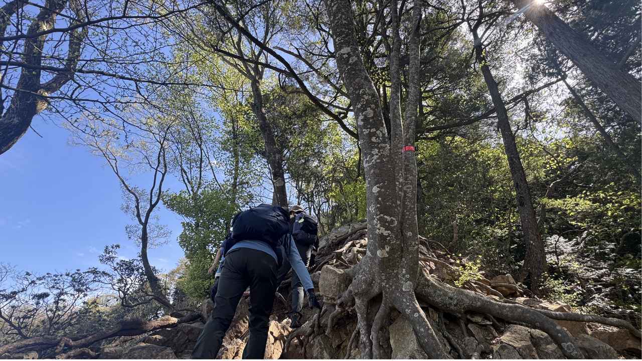 画像14: 登山道で実践！歩きながら学びます