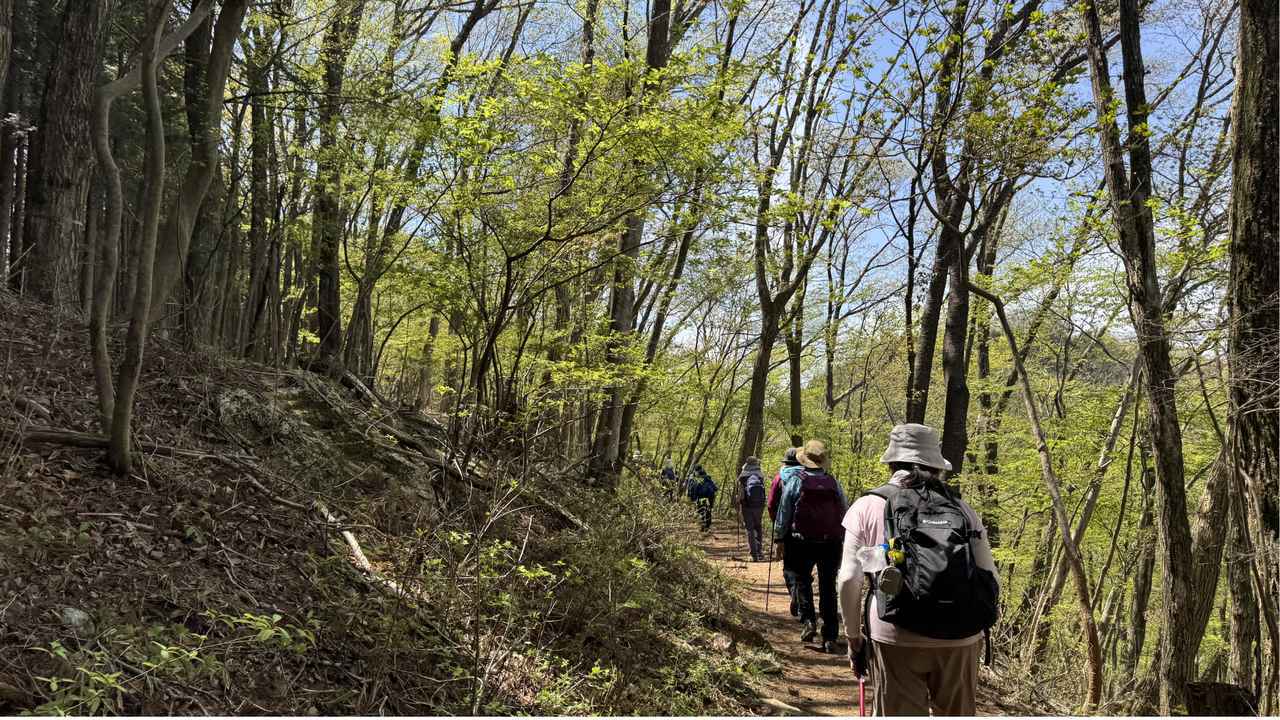 画像9: 登山道で実践！歩きながら学びます