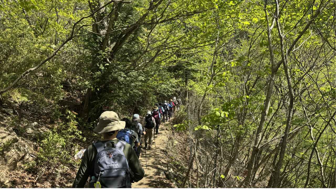 画像13: 登山道で実践！歩きながら学びます