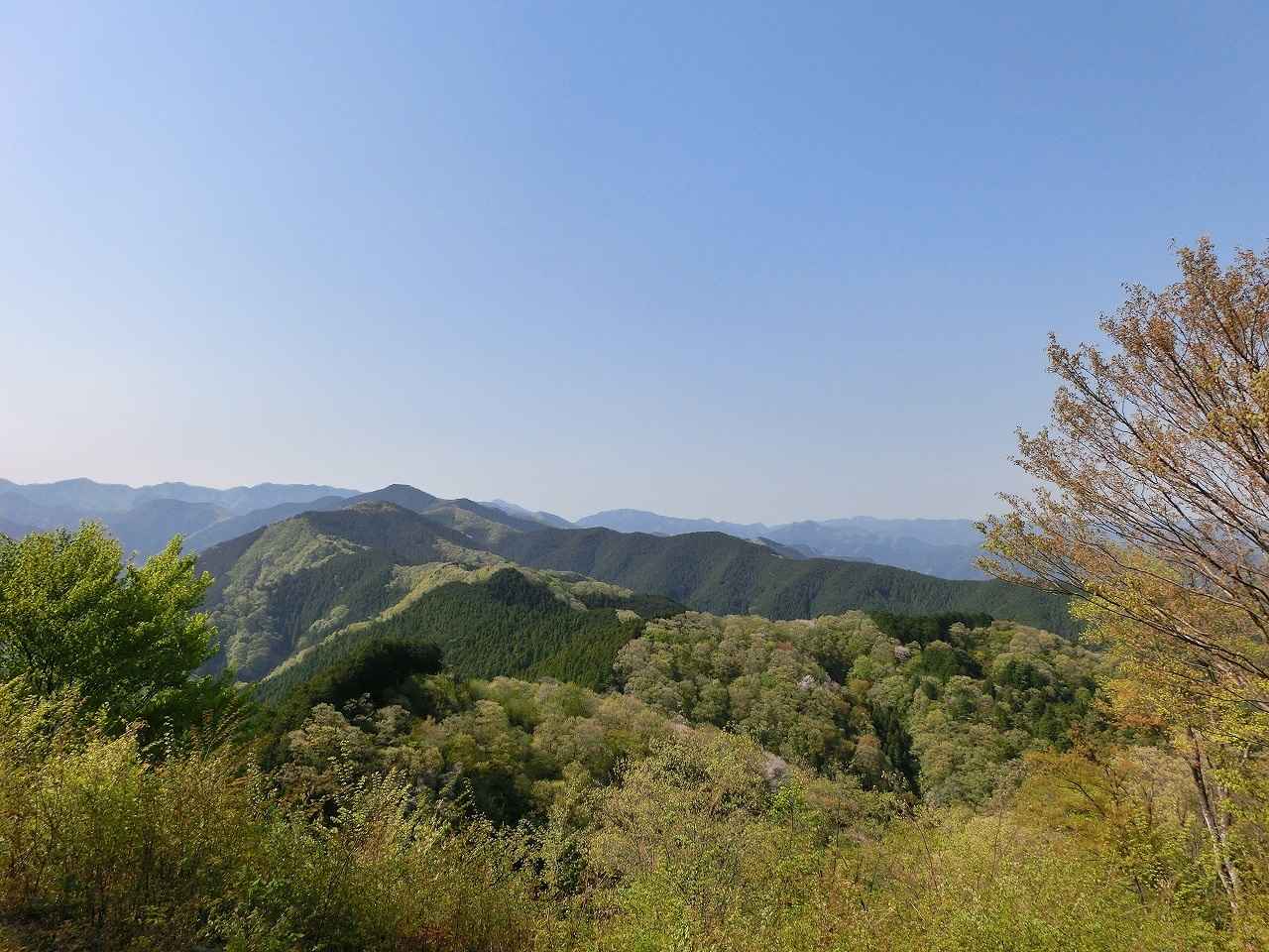 画像: 天覧山山頂