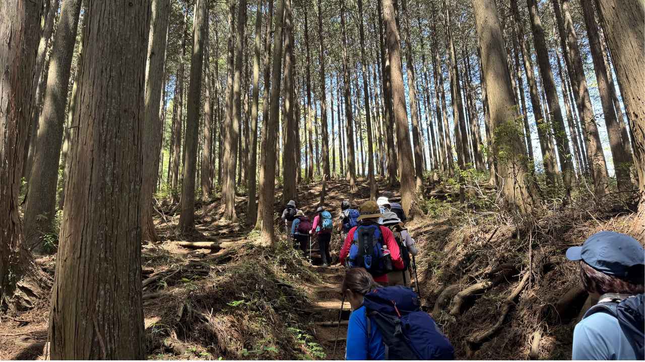 画像6: 登山道で実践！歩きながら学びます