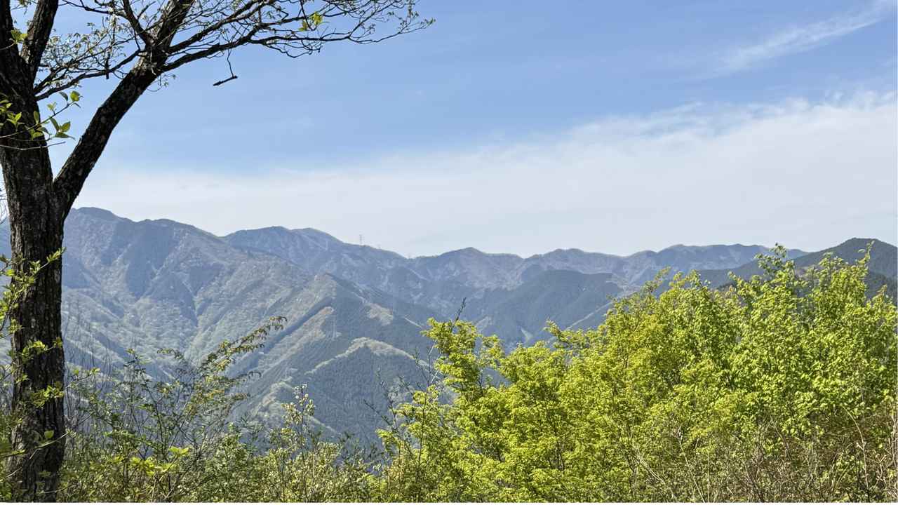 画像11: 登山道で実践！歩きながら学びます