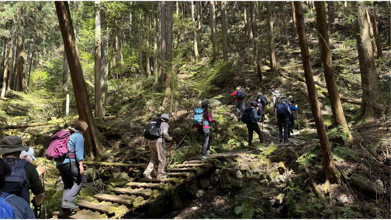 画像4: 登山道で実践！歩きながら学びます