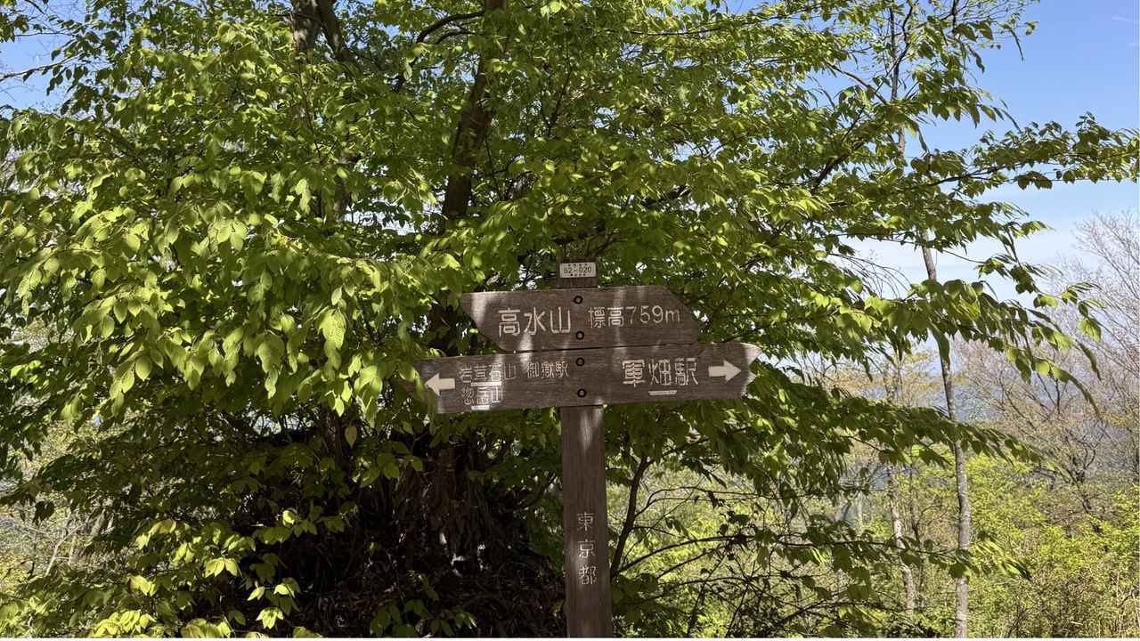 画像8: 登山道で実践！歩きながら学びます