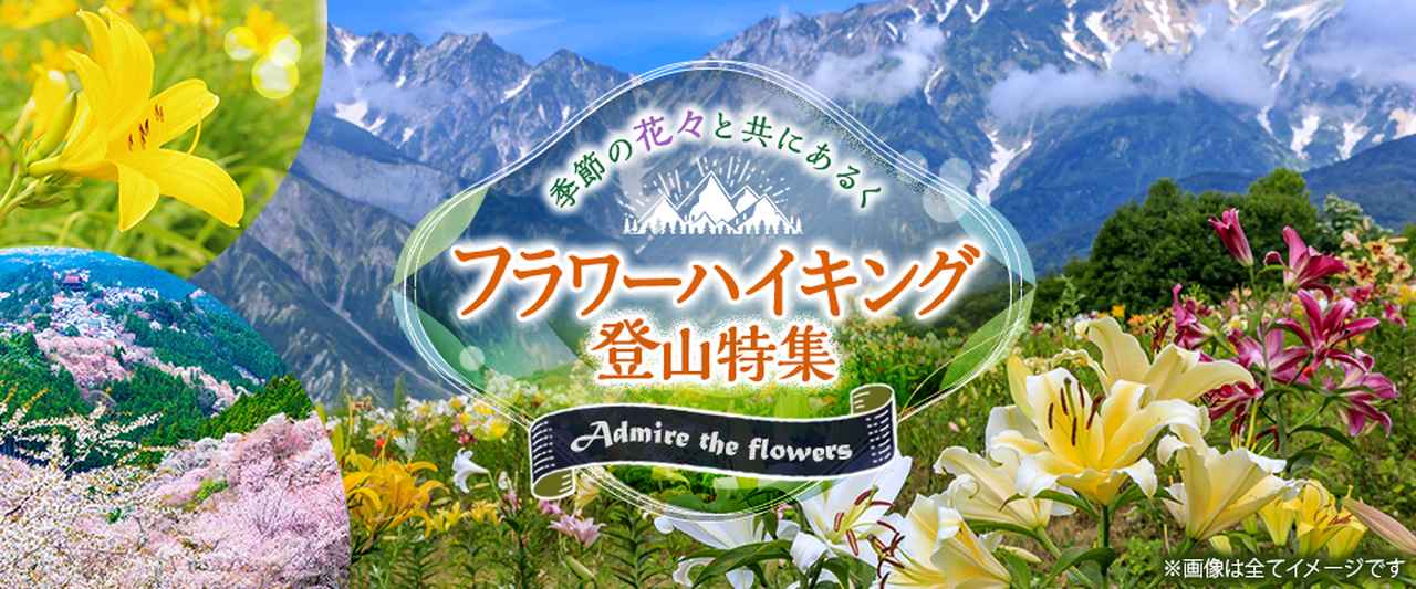 画像1: 花を愛でる登山ツアー・旅行【関東発】│クラブツーリズム