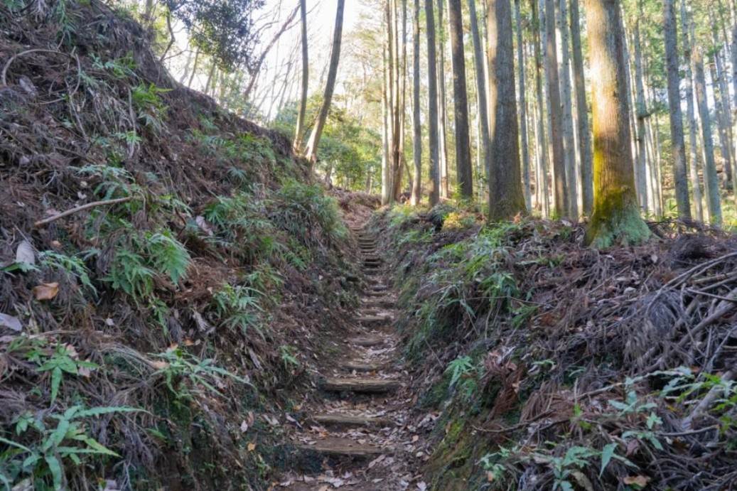 画像: ＜登山初級A（縦走）＞『登って温泉楽しみ隊＜12月＞丹沢・鐘ヶ嶽と七沢温泉』　【小田急線・伊勢原駅集合】｜クラブツーリズム