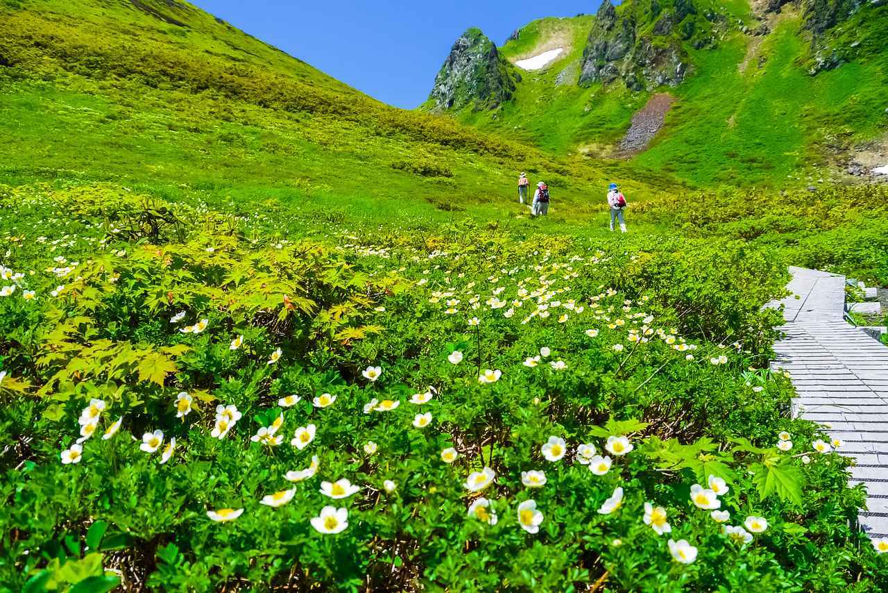 画像1: 秋田駒ヶ岳（1,637ｍ）│入門～初級レベル