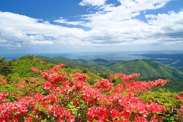 画像1: 五葉山（1,351ｍ）│初級レベル│花の百名山